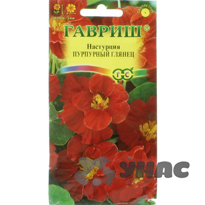 Настурция Пурпурный глянец Гавриш Ц