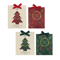 NEW GALAXY Ароматизатор Саше 10гр х2, дикий мандарин, соленая карамель