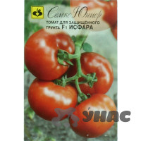 Семена Томат Исфара Семко