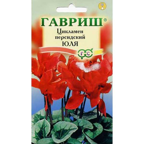 КОМ Цикламен Юля Гавриш Ц