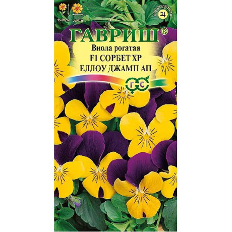 Виола рогатая Сорбет ХР Еллоу Джамп Гавриш Ц