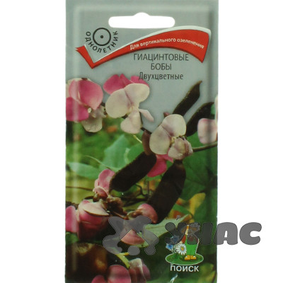 Гиацинтовые бобы Двухцветные Поиск Ц