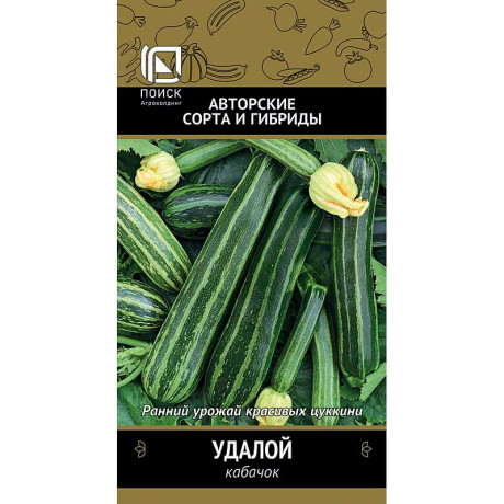 Кабачок Удалой Поиск Ц