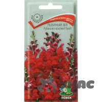 Львиный зев Рубиново-красный букет  Поиск Ц