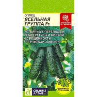 Огурец Ясельная Группа F1 СемАлт Ц