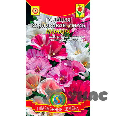 Годеция Монарх карликовая смесь  Плазма Ц