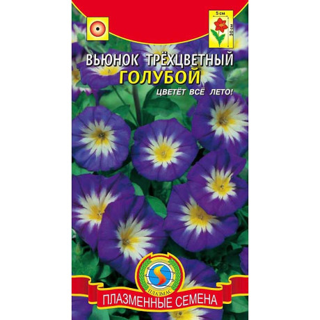 Вьюнок Трехцветный Голубой Плазма Ц