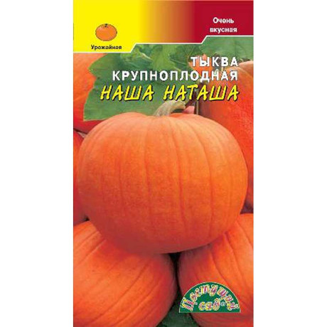 Тыква Наша Наташа  ЦветСад Ц