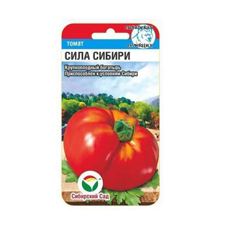 Семена Томат Сила Сибири Сибирский Сад