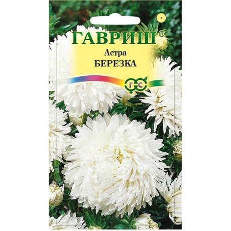 Астра Березка Гавриш Ц