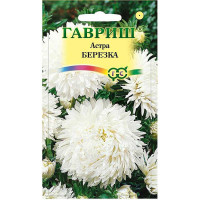 Астра Березка Гавриш Ц