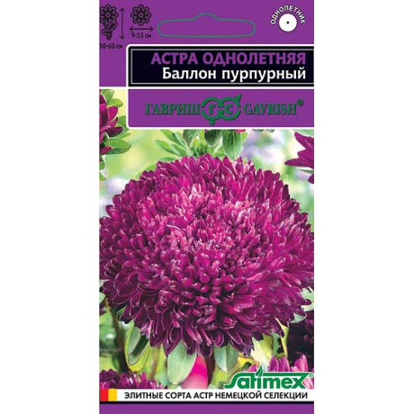 Астра Баллон пурпурный Гавриш Ц х10