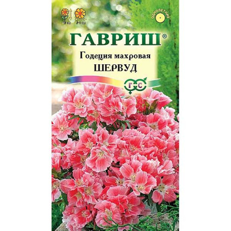 Годеция Шервурд Гавриш Ц