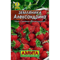 Земляника Александрина Аэлита Ц