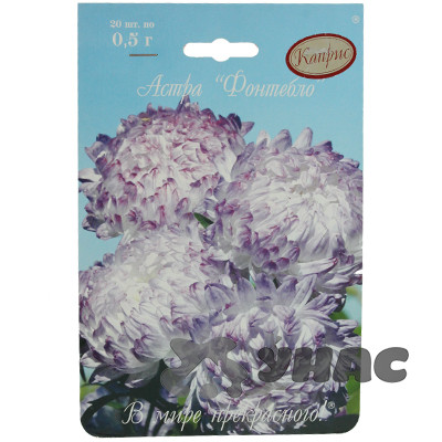 К Астра Фонтебло Каприс