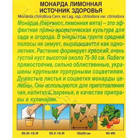 Монарда Источник здоровья лимонная Аэлита Ц х10