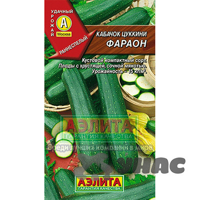 Кабачок Фараон Аэлита Ц