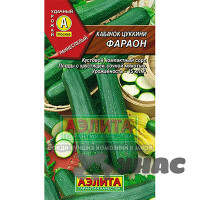 Кабачок Фараон Аэлита Ц
