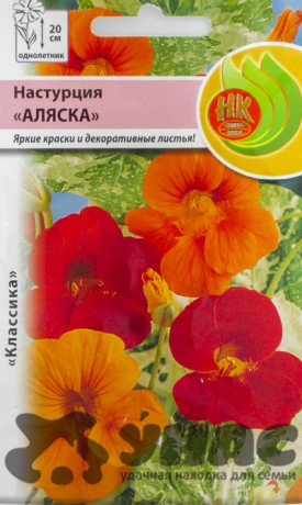 Настурция Аляска НК Ц