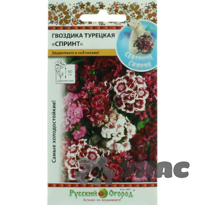 Гвоздика турецкая Спринт смесь НК Ц