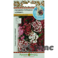 Гвоздика турецкая Спринт смесь НК Ц