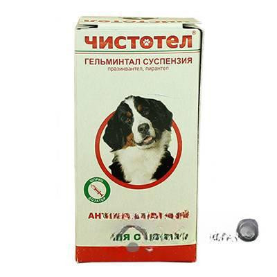 Чистотел Глистогон Суспенсия для собак 7 мл C103