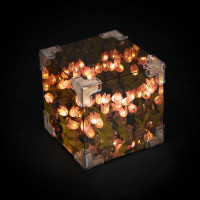 Ночник 3d с тюльпанами, 10х10см, пластик, 3хAG13, 3 вида