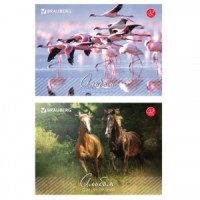 Альбом д/рисования, 32 л., BRAUBERG, обл. карт., &quot;Живая природа&quot;, 2 вида, 103683