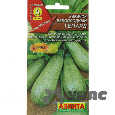 Кабачок Гепард Аэлита Ц