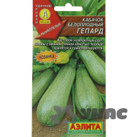 Кабачок Гепард Аэлита Ц