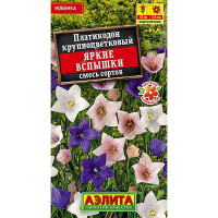 Платикодон Яркие вспышки Аэлита Ц