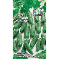 Огурец Диво Дивное Седек Ц