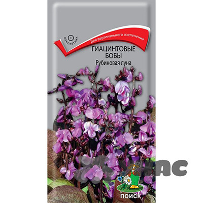 Гиацинтовые бобы Рубиновая луна Поиск Ц