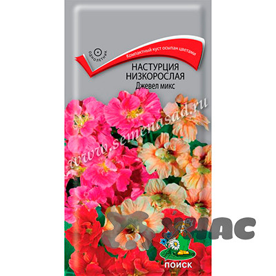Настурция Джевел микс низк. Поиск Ц
