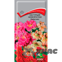 Настурция Джевел микс низк. Поиск Ц