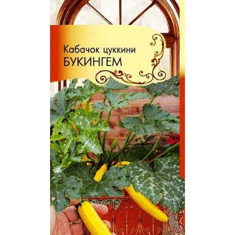 Кабачок Букингем Плазма Ц