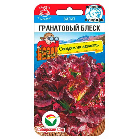 Салат Гранатовый блеск СибСад Ц