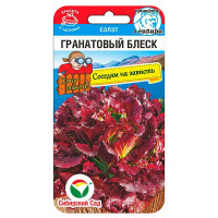 Салат Гранатовый блеск СибСад Ц