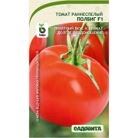 Семена Томат Полбиг F1 10 шт Bejo/Садовита