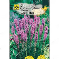Лиатрис Олимпиец Семко Ц