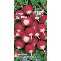 Редис Политез Седек Ц