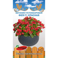 КОМ Бегония Фея F1 красная Премиум Сидс Ц