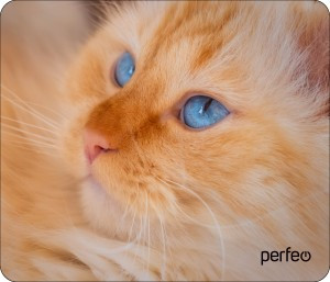 Perfeo Коврик для комп. мыши "Cat", Рис.23 (180x220x2 мм), ткань+резин.основание PF_D0667