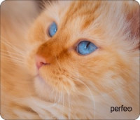 Perfeo Коврик для комп. мыши "Cat", Рис.23 (180x220x2 мм), ткань+резин.основание PF_D0667