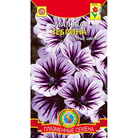 Мальва Зебрина Плазма Ц