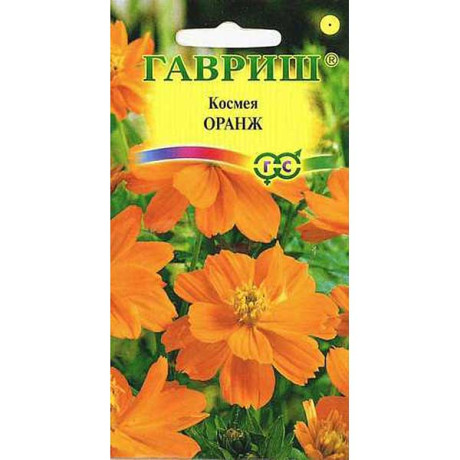 Космея махровая Оранж Гавриш Ц