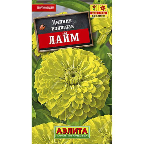 Циния Лайм изящная Аэлита Ц