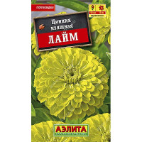 Циния Лайм изящная Аэлита Ц