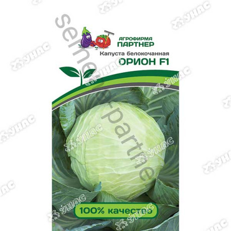 Капуста Орион Партнер Ц