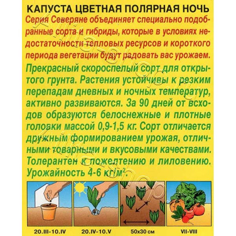 Капуста цветная Полярная ночь Аэлита Ц x10